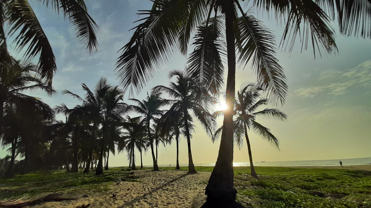 a70d69d8-58cf-48cb-8d72-0d63b7ee027f